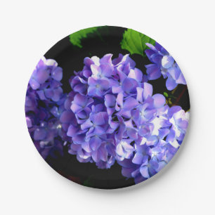 Blumenblumen, Blütenblüten, Hydrangeas Pappteller