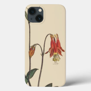 BlumenBlumen-botanischer Garten iPhone 6 Fall Case-Mate iPhone Hülle