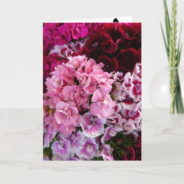 Blumenblüten Karte (Vorderseite)