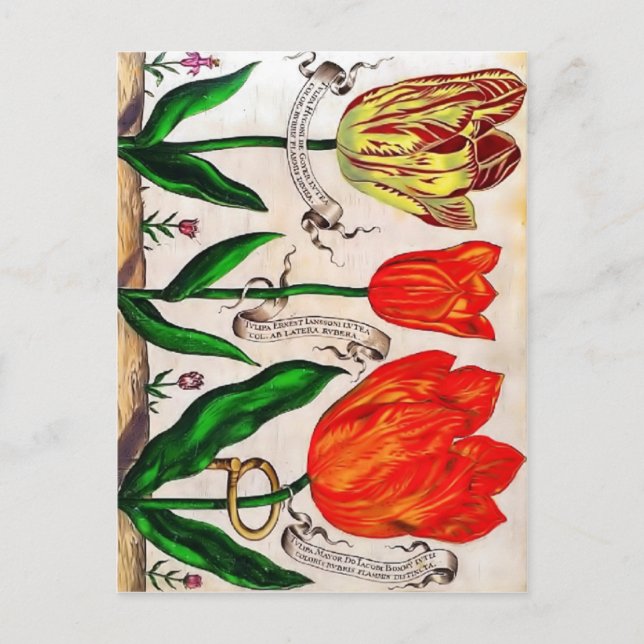 Blumenbücher Postkarte (Vorderseite)