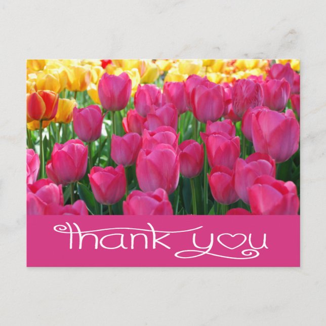Blumendanken Ihnen Rosa und Gelbe Tulpen Blume Postkarte (Vorderseite)