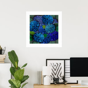 Blumendesign, Blue Hydrangea Print Poster