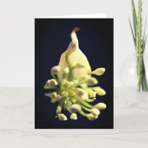 Blumendruck geklappt dank Karte