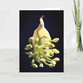 Blumendruck geklappt dank Karte