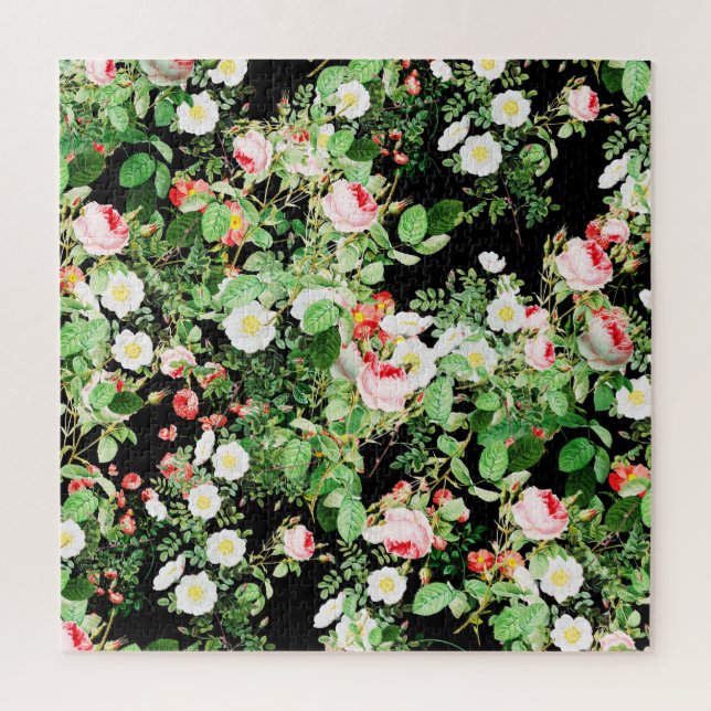 Blumendruck Rose Rosa und Weiß Blume auf Schwarz (Vertikal)