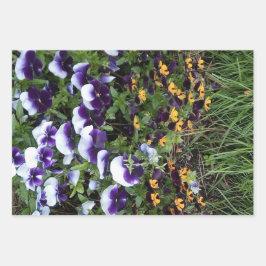 Blumenexplosion Geschenkpapier Set