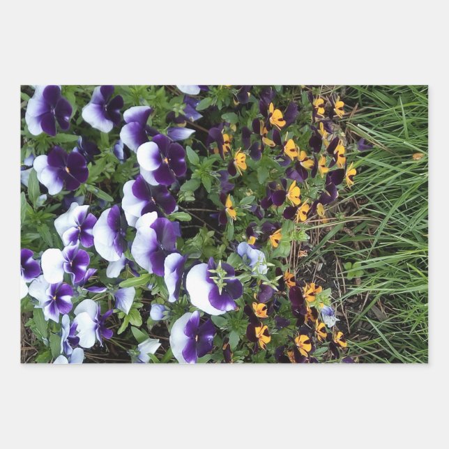 Blumenexplosion Geschenkpapier Set (Vorderseite)