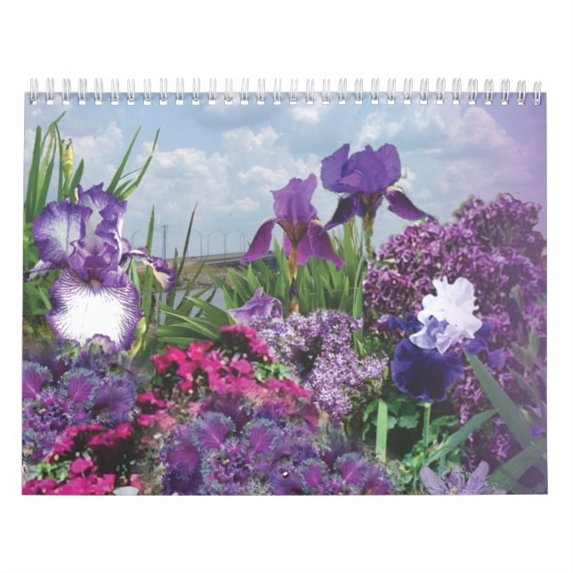 Blumenfarben der violetten Blumen 2020 Kalender (Titelbild)