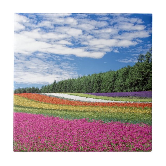 Blumenfeld Fliese (Vorderseite)