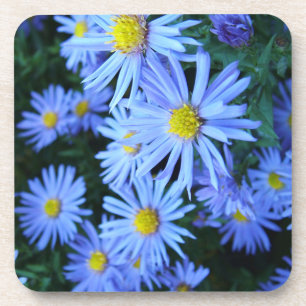 Blumenfeld Getränkeuntersetzer