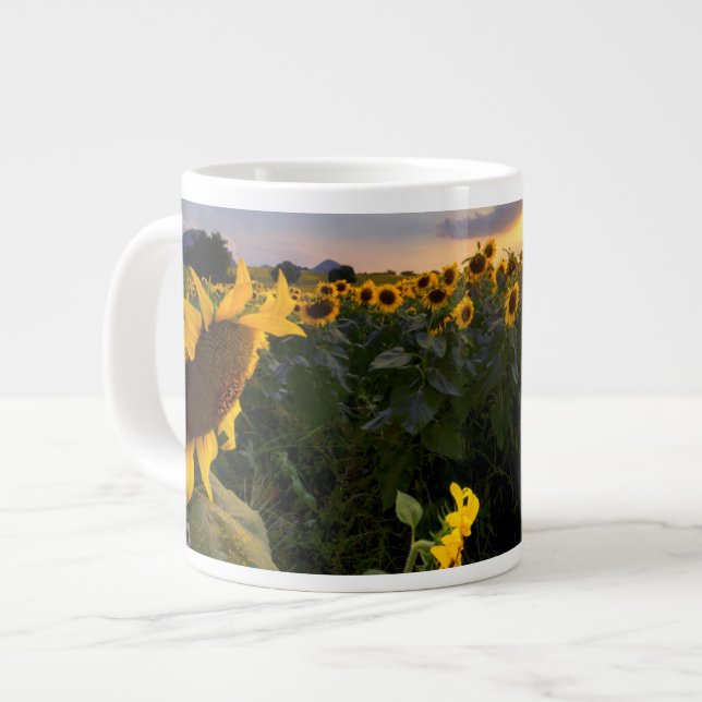 Blumenfeld Jumbo-Tasse (Vorderseite Links)