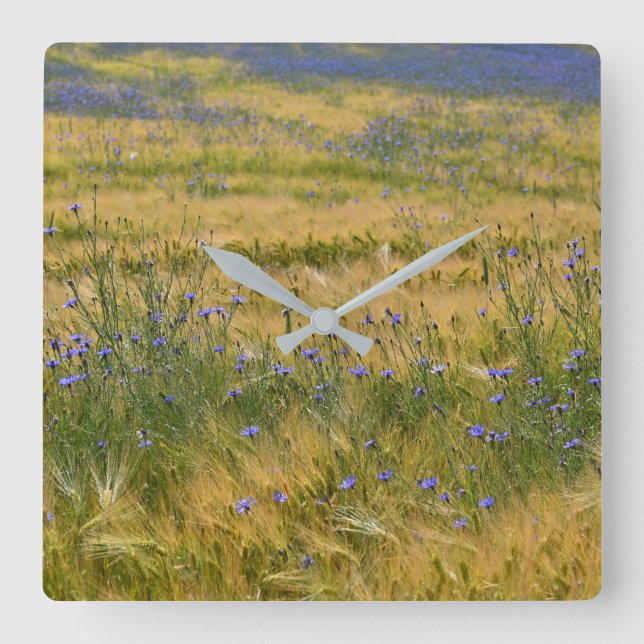 Blumenfeld Quadratische Wanduhr (Vorderseite)