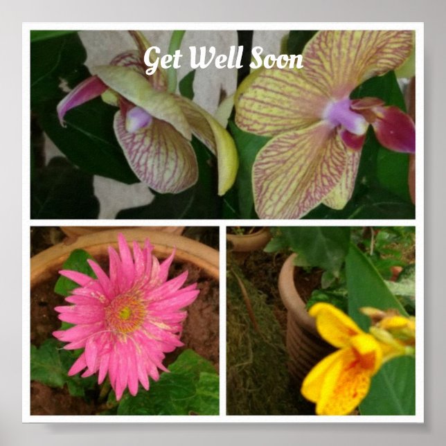 Blumenfoto-Collage Poster (Vorne)