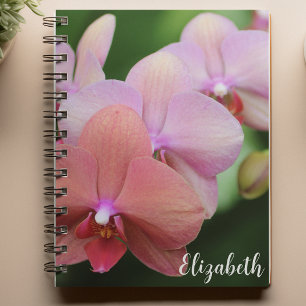 Blumenfotografie Elegante Rosa Orchideen Custom Notizblock