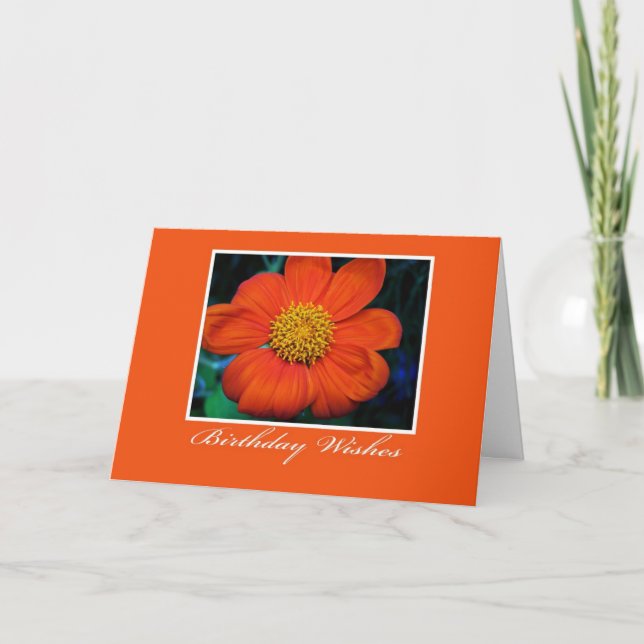 Blumenfotografie Geburtstagwünsche Karte (Vorderseite)