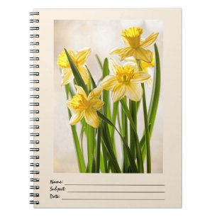 Blumenfotografie:  Gelbe Frühlingstrockner Notizblock