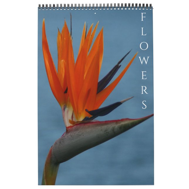 Blumenfotografie Kalender (Titelbild)
