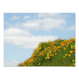 Blumenfotografie Kunstdrucke Mohnblumen Blume Fotodruck