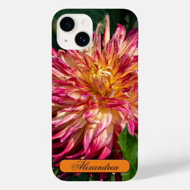 Blumenfotografie, Orange Chrysanthemum Case-Mate iPhone 14 Hülle (Rückseite)