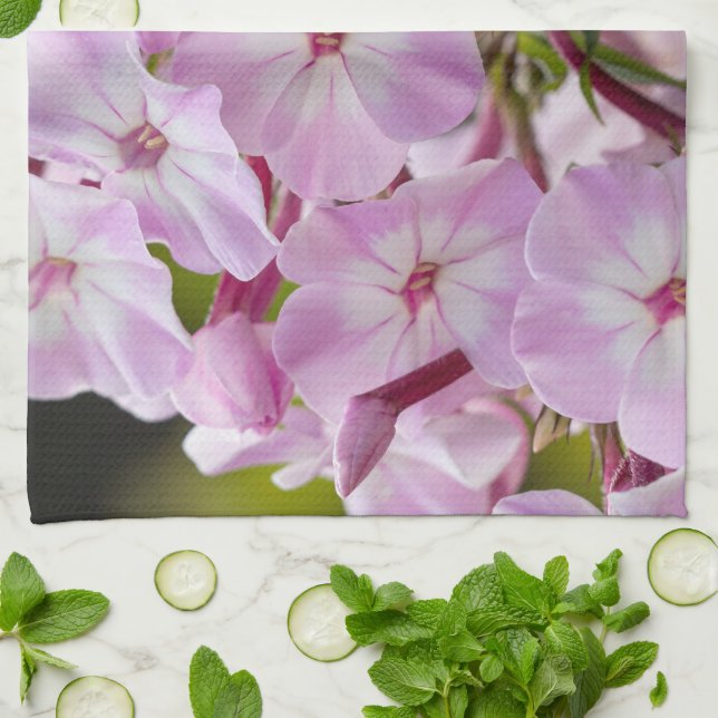Blumenfotografie, rosa Phlox-Blume Geschirrtuch (Gefaltet)