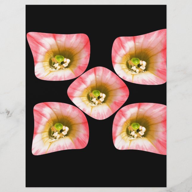 Blumenfreude (Vorderseite)