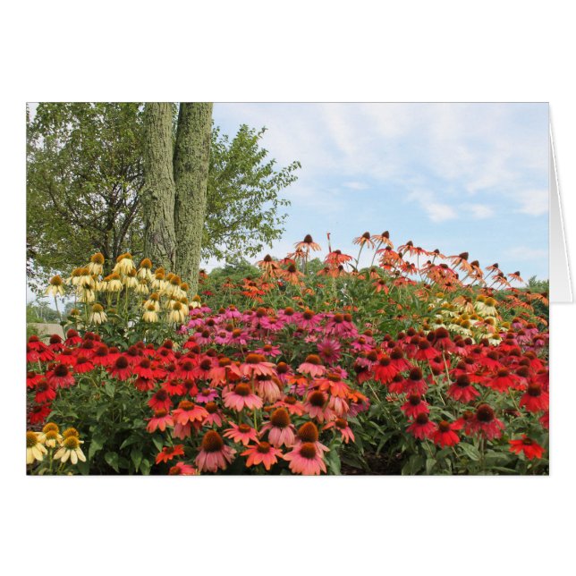 Blumenfrieden (Vorderseite (Horizontal))