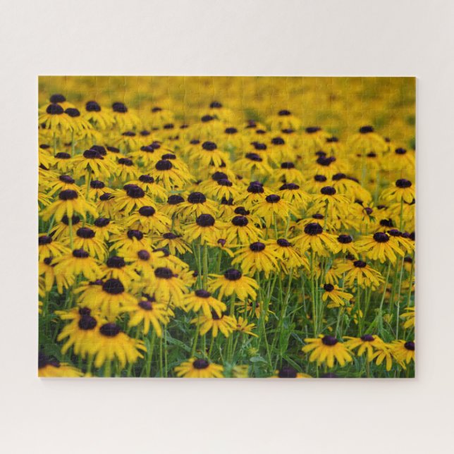 Blumengarten - 16x20 - 520 Stck Jigsaw Puzzle (Horizontal)