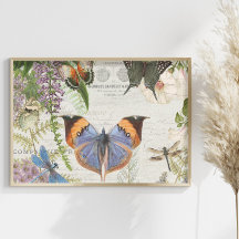 Blumengarten Botanischer Schmetterling Blumengarte