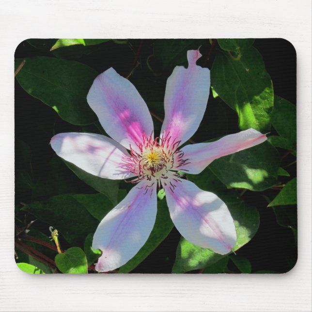 Blumengarten der Mama Mousepad (Vorne)