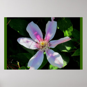 Blumengarten der Mama Poster