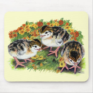 Blumengarten Küken Mousepad