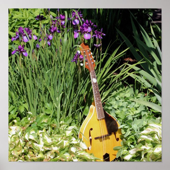 Blumengarten Mandolin und Iris Poster (Vorne)