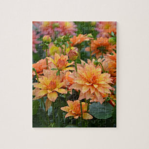 Blumengarten Orange dahlia