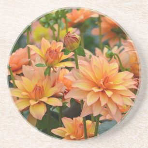 Blumengarten Orange dahlia Sandstein Untersetzer