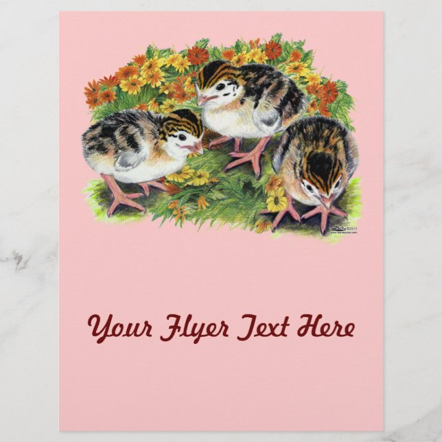 BlumengärtnerKees Flyer (Vorne)