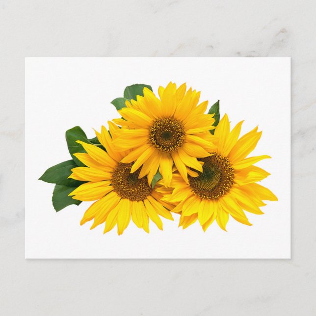 Blumengelbe Blume - Hallo, Liebe Postkarte (Vorderseite)