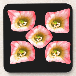 Blumengenuss Getränkeuntersetzer