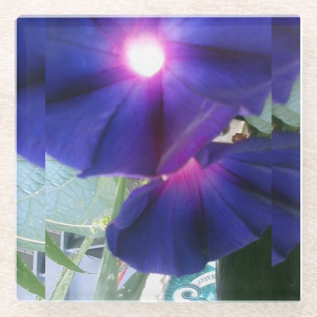 BlumenglasUntersetzer Glasuntersetzer (Vorderseite)