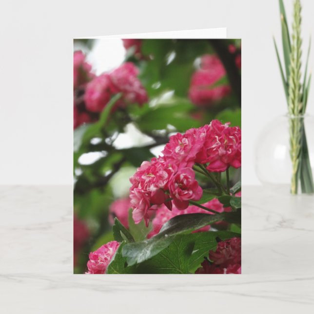 Blumengrußkarte, Standard Karte (Vorderseite)