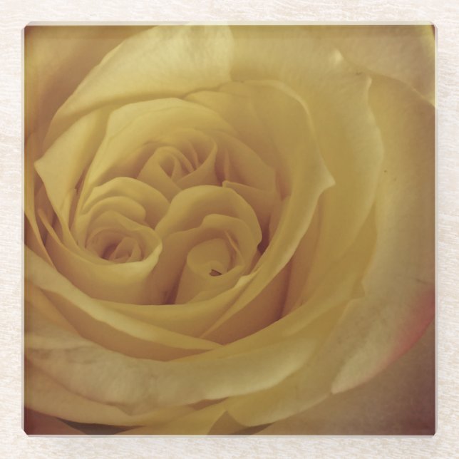 Blumenhellgelbe Rose Foto Schöne Blume Glasuntersetzer (Vorderseite)