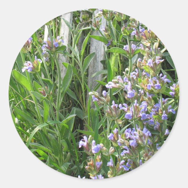 Blumenkäferaufkleber Runder Aufkleber (Vorderseite)