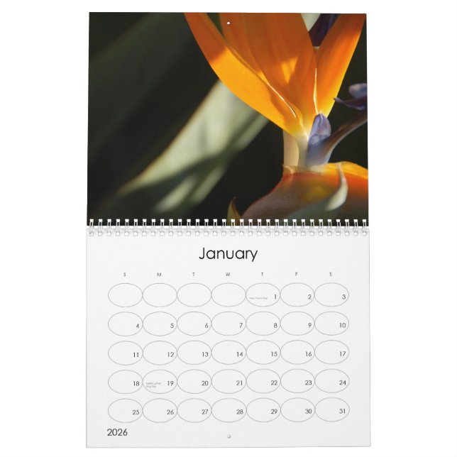 Blumenkalender 2010 kalender (Jan 2026)