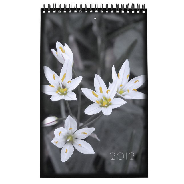 Blumenkalender 2012 - 12 Single - Monate Kalender (Titelbild)