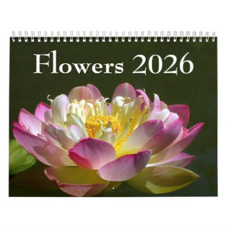 Blumenkalender 2026 kalender