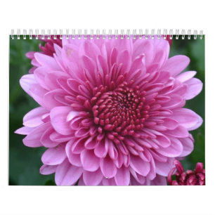 Blumenkalender Kalender