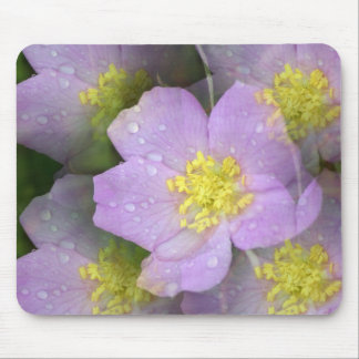 BlumenKalidascope Mausunterlage Mousepad
