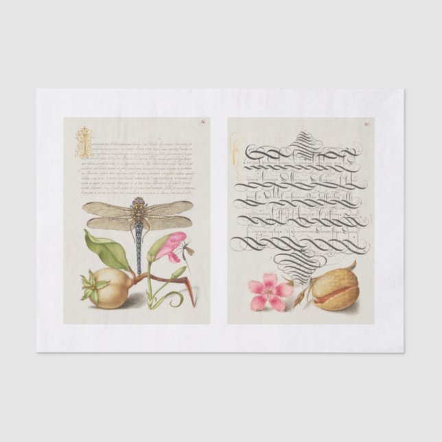 Blumenkalligraphie Seidenpapier (Vorderseite)