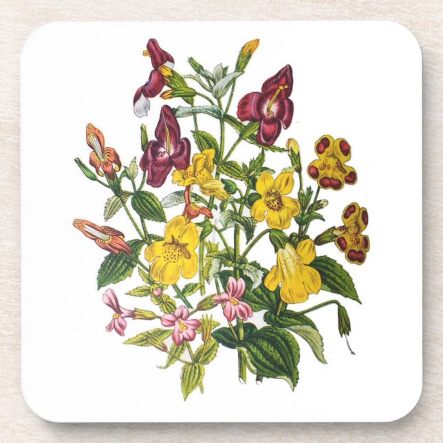 Blumenkarneval Getränkeuntersetzer (Vorderseite)