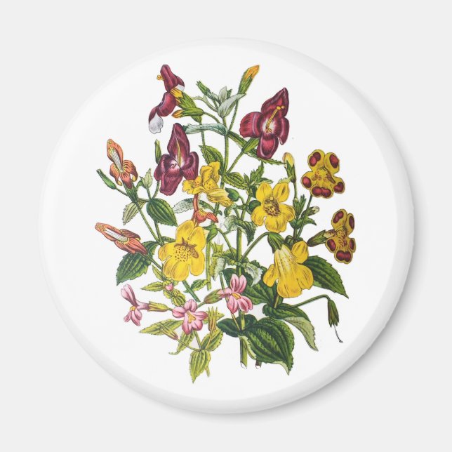 Blumenkarneval Magnet (Vorne)