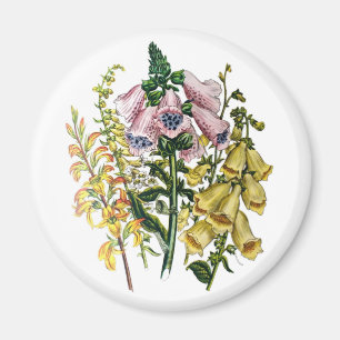 Blumenkarneval Magnet